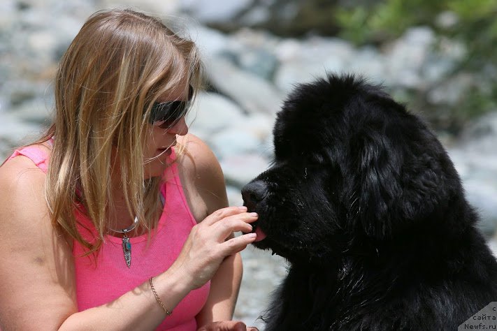 Фотография № 181874