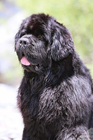 Фотография № 181878