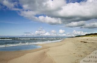 Фотография № 18188