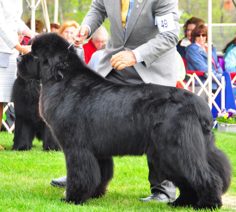 Фотография № 181884