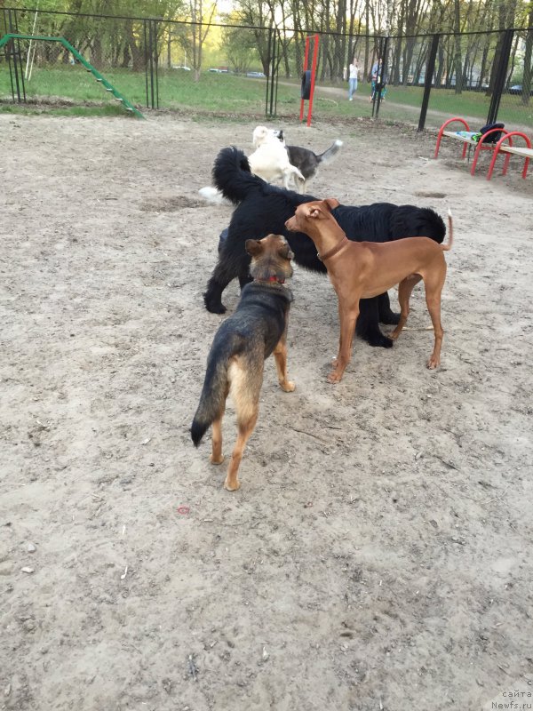 Фотография № 181907