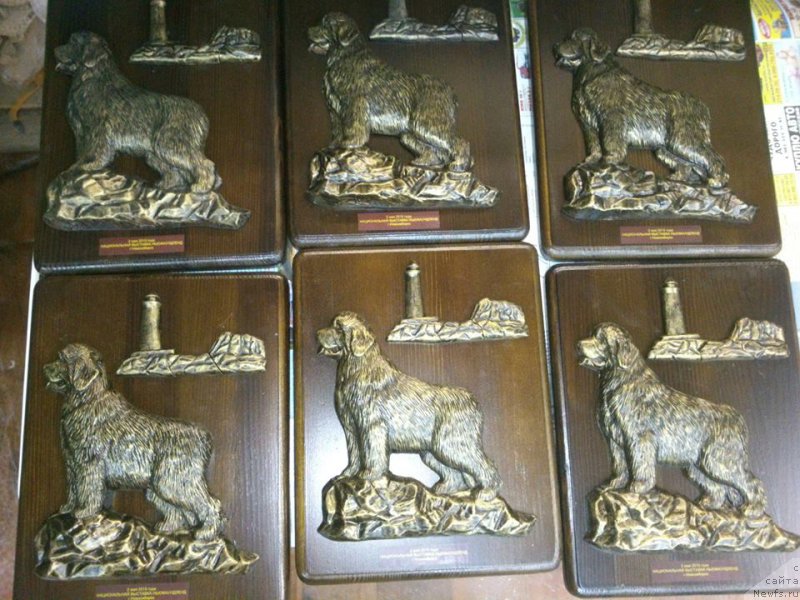 Фотография № 181916