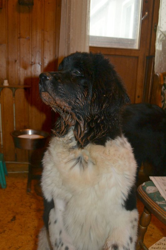 Фотография № 181926