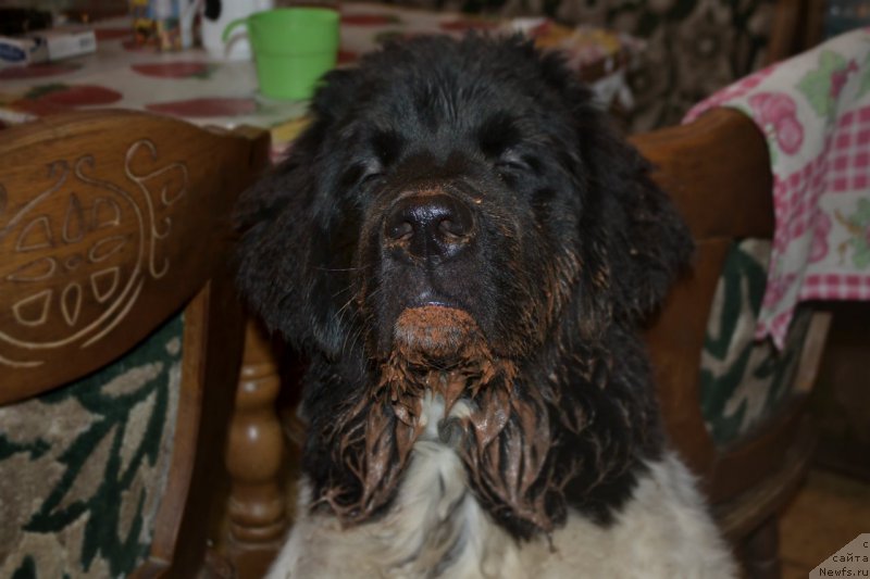 Фотография № 181927