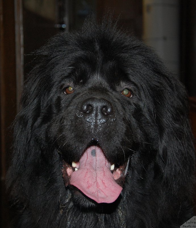 Фотография № 181951