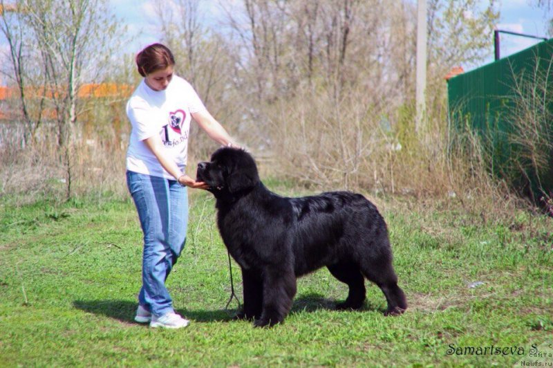 Фотография № 181967