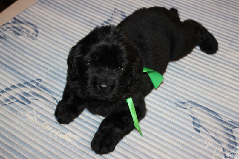 Фотография № 181974