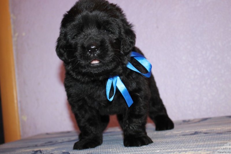 Фотография № 181979