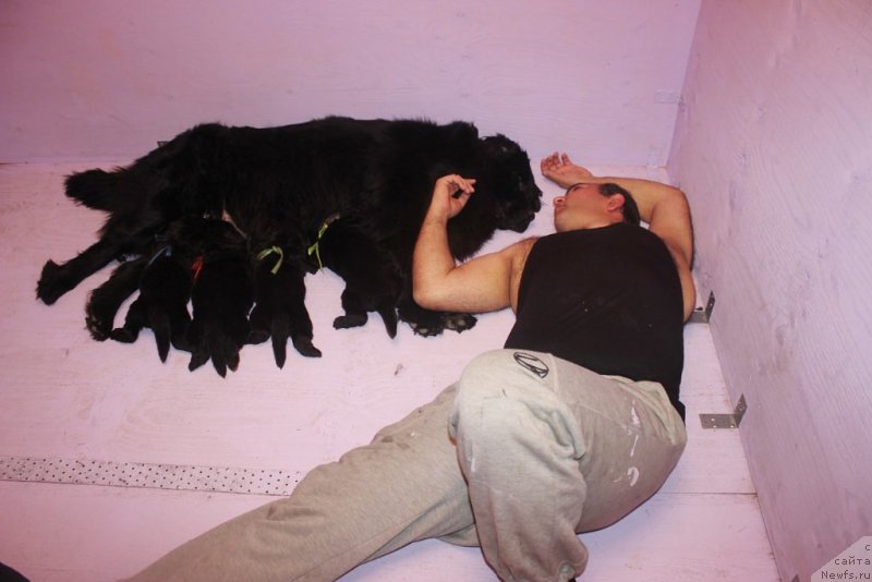 Фотография № 181985