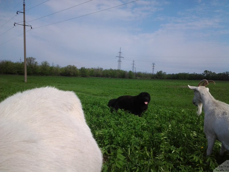 Фотография № 182002