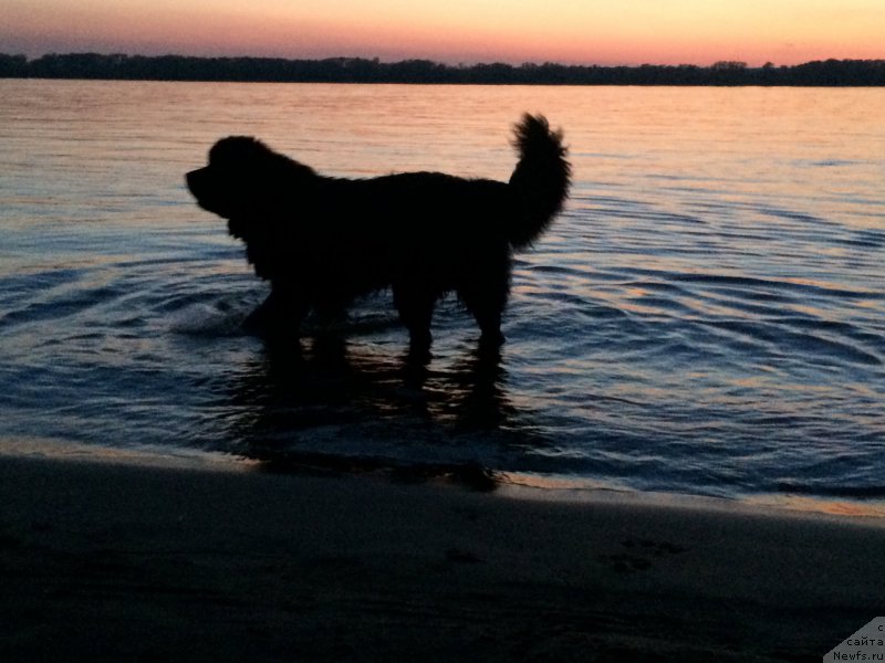 Фотография № 182037