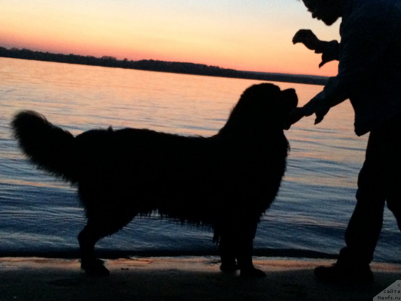 Фотография № 182038