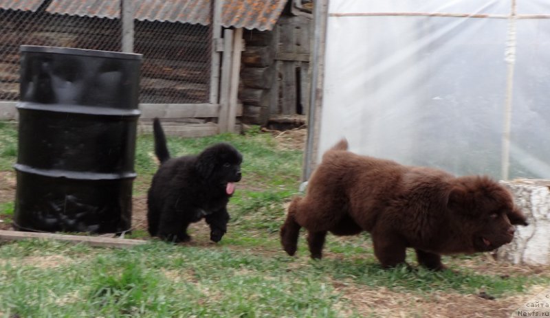 Фотография № 182045