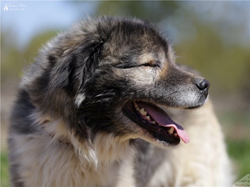 Фотография № 182054