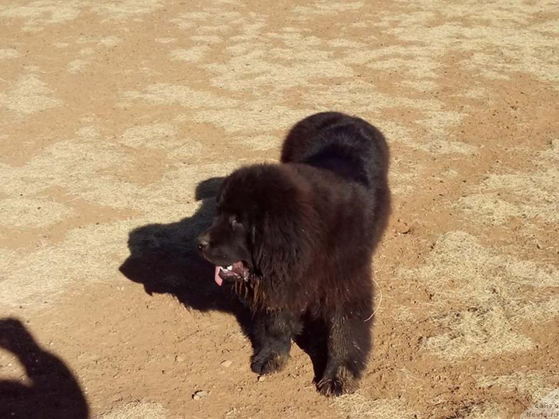 Фотография № 182091