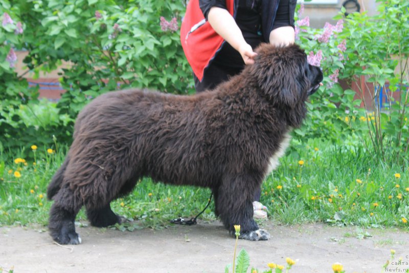 Фотография № 182097