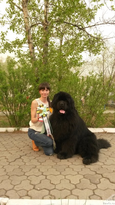 Фото: Marina Furik (Марина Фурик)