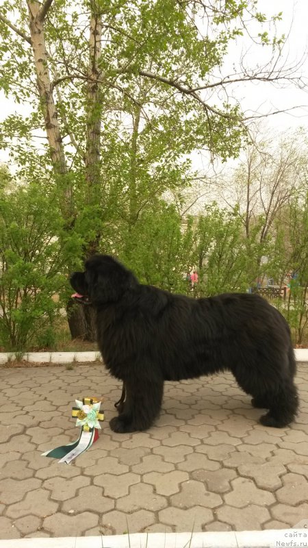 Фотография № 182099