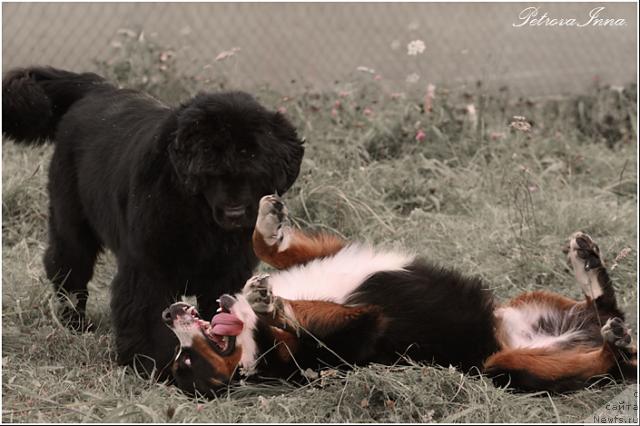 Фотография № 18210