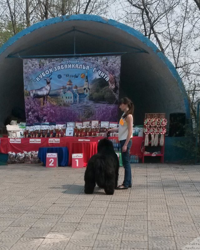 Фотография № 182103