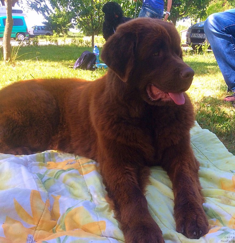 Фотография № 182114