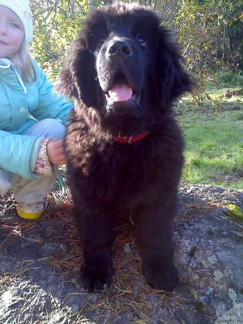 Фото: Катя и Фаня