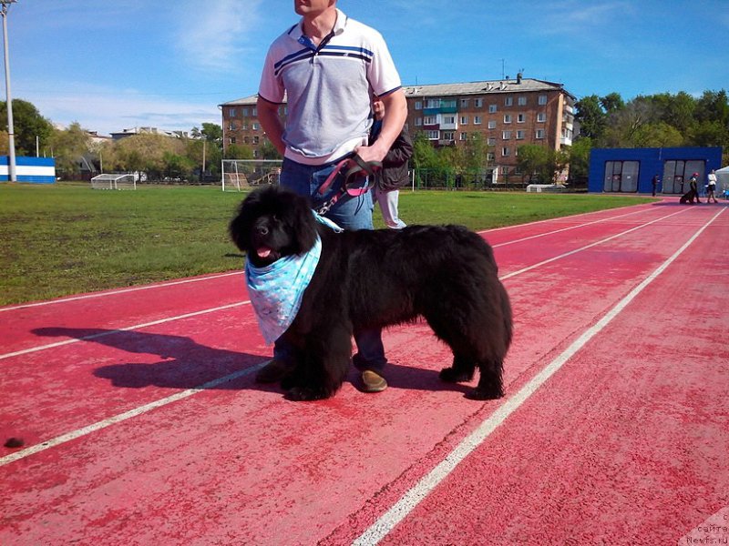 Фотография № 182152