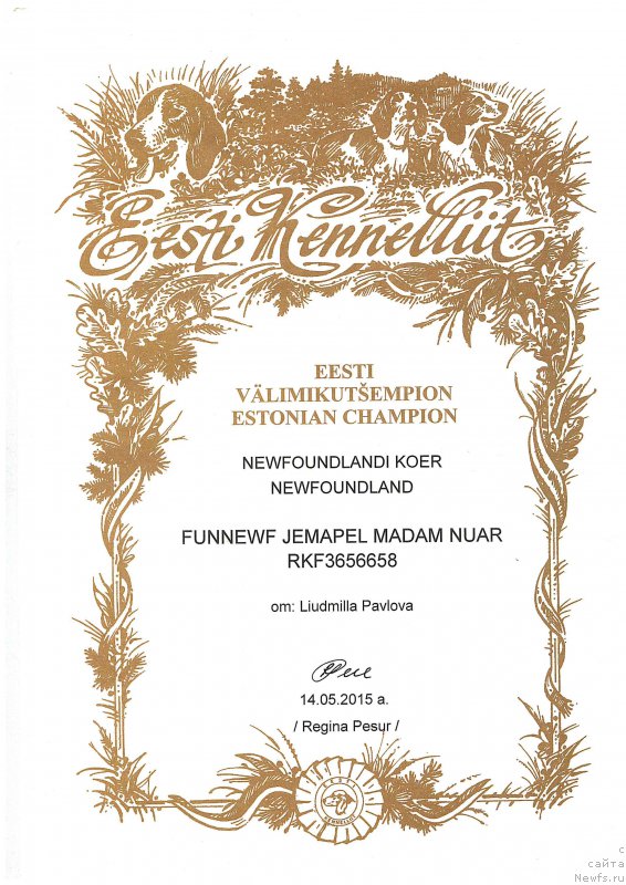 Фото: ньюфаундленд Funnewf Jemapel Madam Nuar (Фанньюф Жемапель Мадам Нуар)