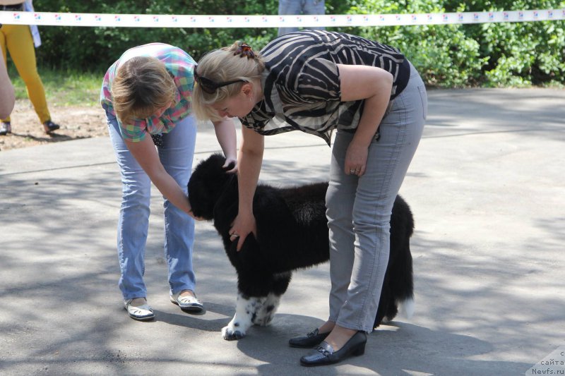 Фотография № 182174