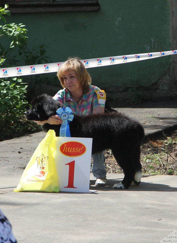 Фотография № 182175