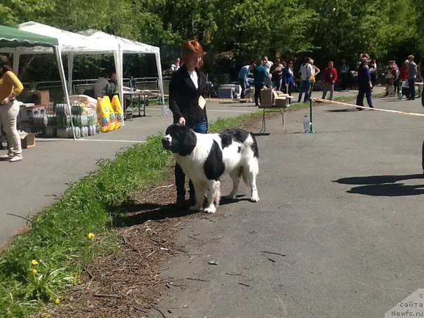 Фотография № 182235