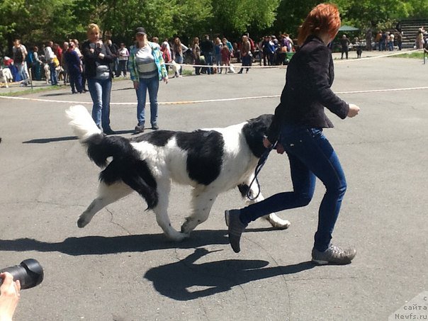 Фотография № 182236