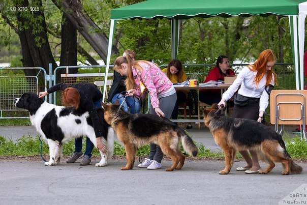 Фотография № 182237