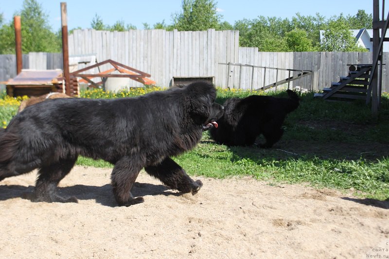 Фотография № 182269