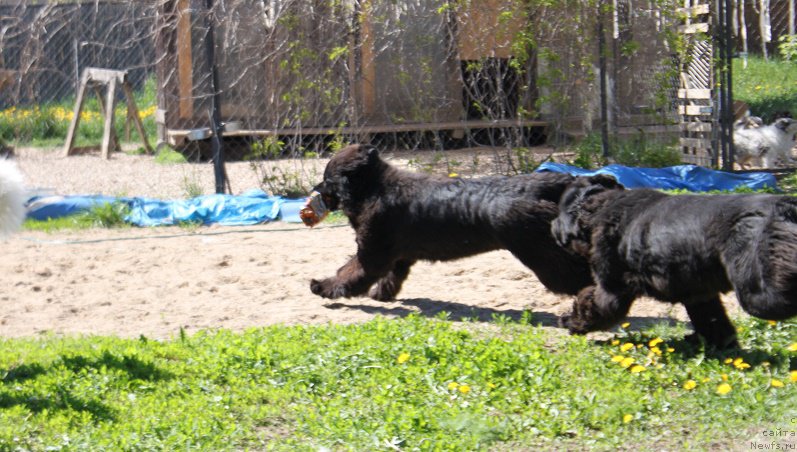 Фотография № 182271