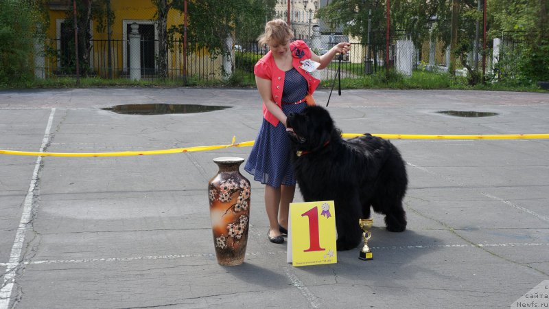 Фотография № 182332