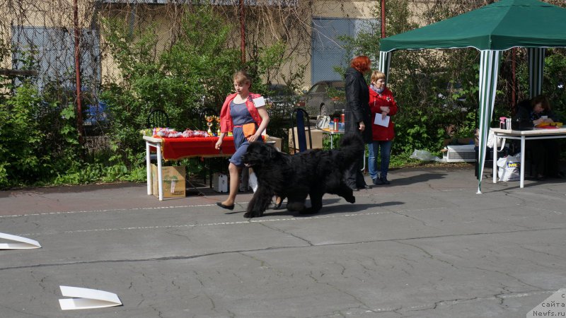 Фотография № 182334