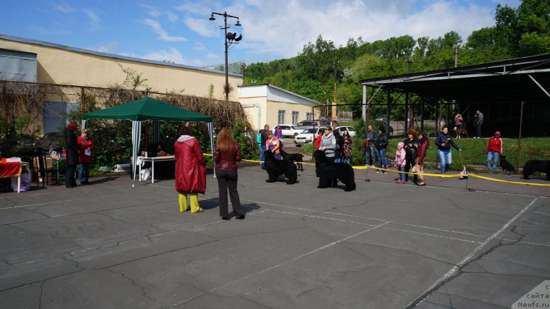 Фотография № 182335