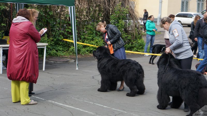 Фотография № 182336