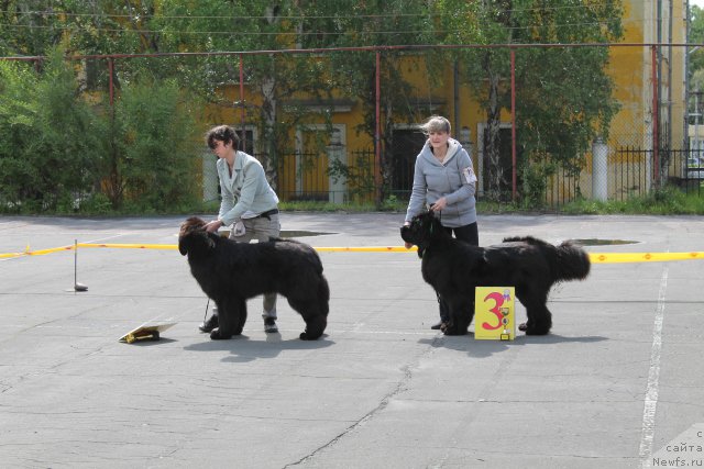 Фотография № 182338