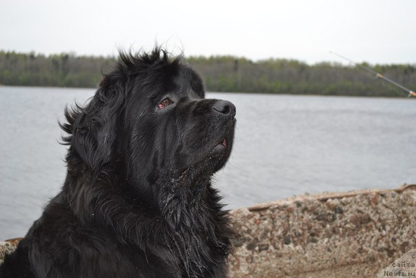 Фотография № 182352