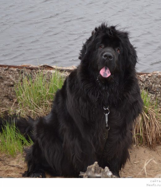 Фотография № 182355