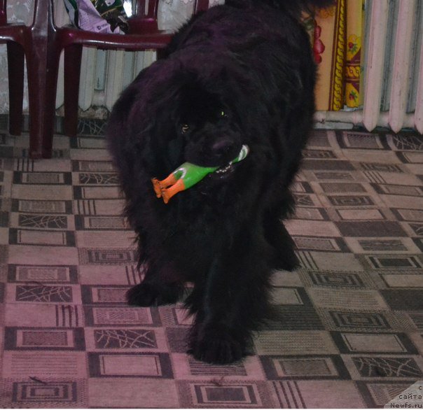 Фотография № 182356