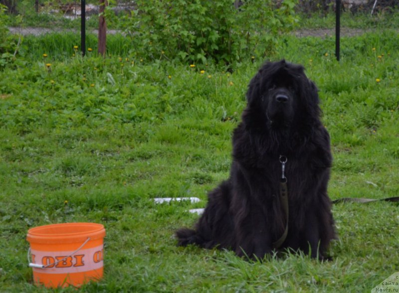 Фотография № 182357