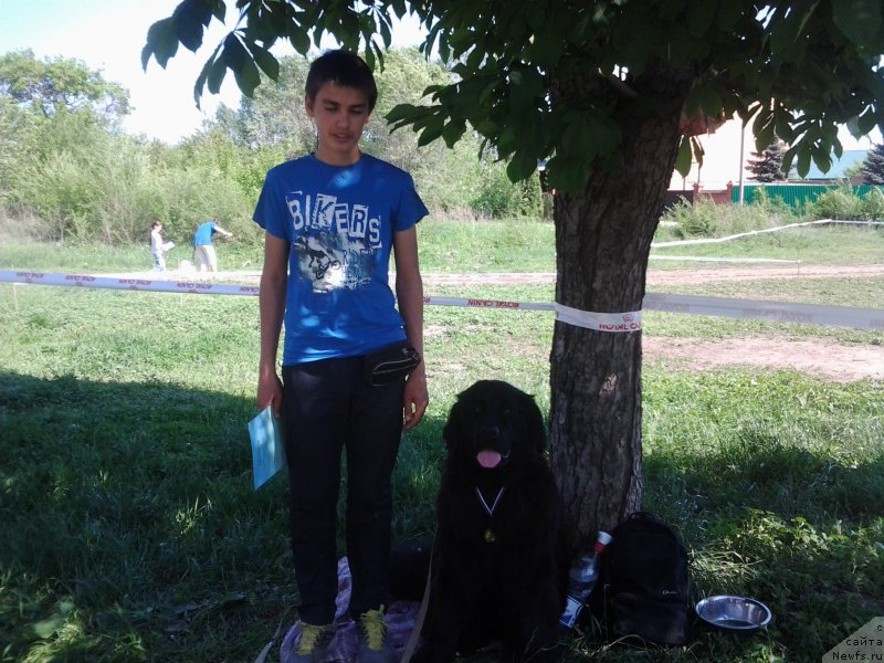 Фотография № 182360