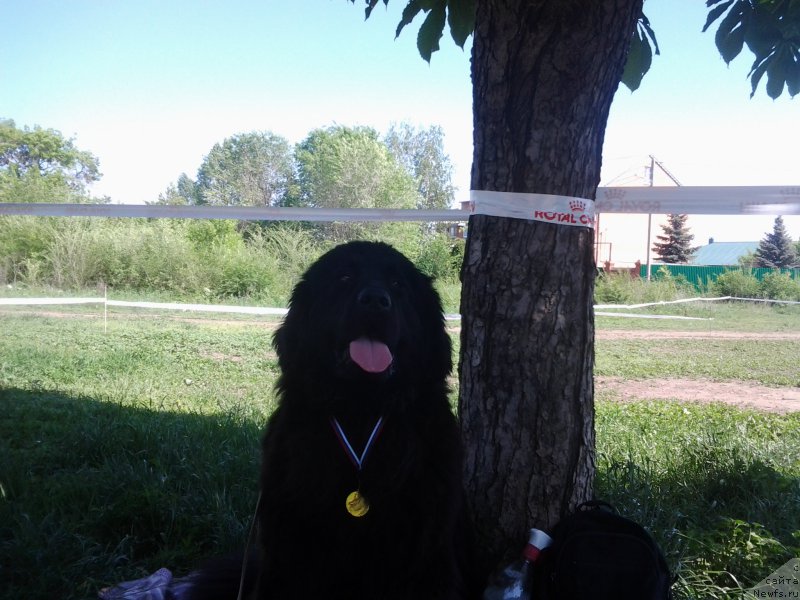 Фотография № 182361