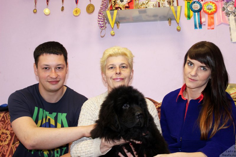 Фото: ньюфаундленд CHernyiy Balu Evangelina (Черный Балу Евангелина)