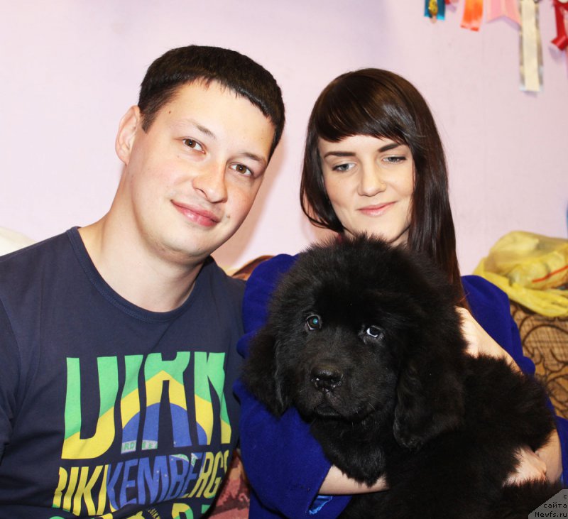 Фото: ньюфаундленд CHernyiy Balu Evangelina (Черный Балу Евангелина)