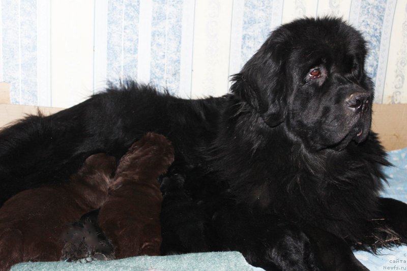 Фотография № 182391