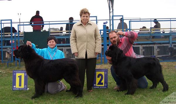 Фотография № 18240